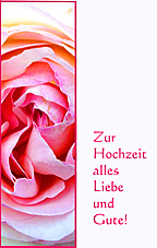 Motiv: rosa Rose zur Hochzeit